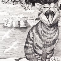 よく遊びよく寝た猫