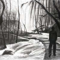 プリトヴィッツェ湖の森