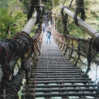 つり橋の下は昨夜の雨で増水し20〜30cmの隙間からは その早い川の流れがまる見えだ。しかも足元も手元も雨に濡れてツルツルなのだ