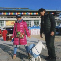 家の近所の弁天さんに「初詣で」今年のおみくじは「大吉」でした