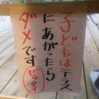 6月10日は敏和さんは庭で仕事をしてくれました。ミルクも喜びました。