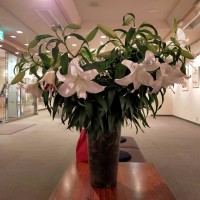 展覧会に頂いたお花④