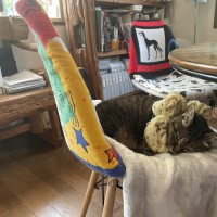 私の手作りで、タオルでポンデリングを作る